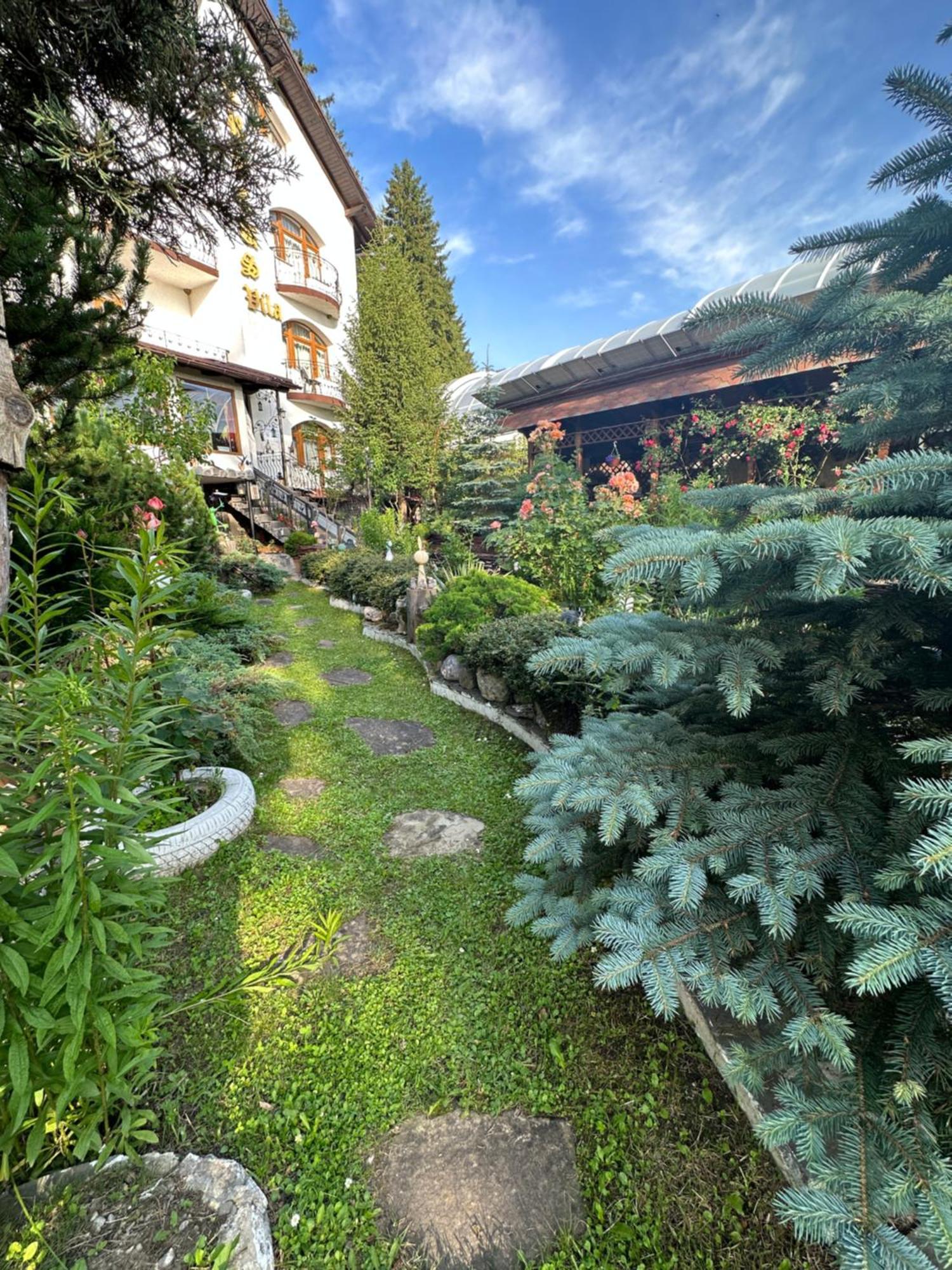 Pensiunea Crocus - Sauna & Billiard โปยานาบราซอฟ ภายนอก รูปภาพ